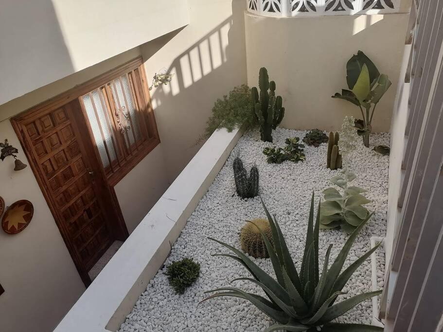 Casa Las Pencas De Margarita Los Realejos Exteriör bild